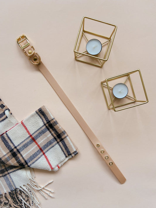 BioThane Collar: Pawberry