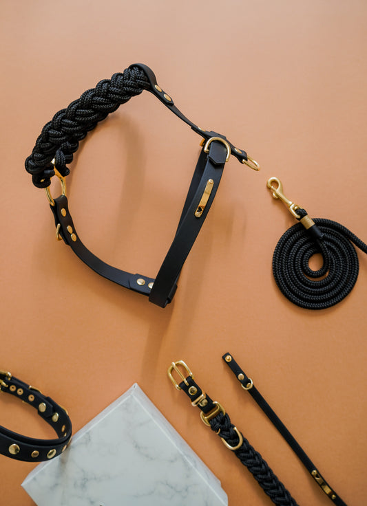 Signature Harness: Puparazzi