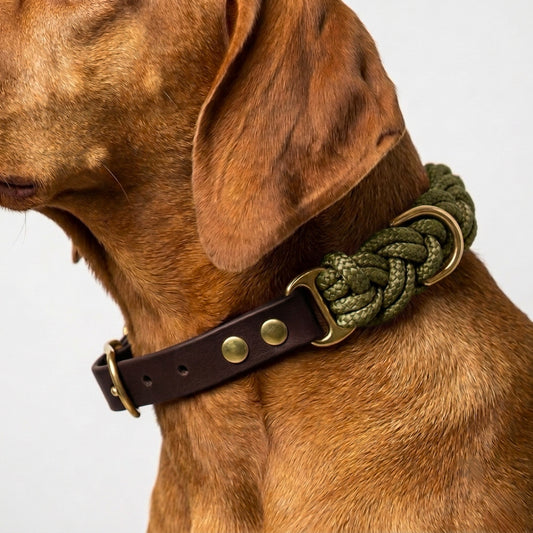 Signature Collar: Oh My Green!