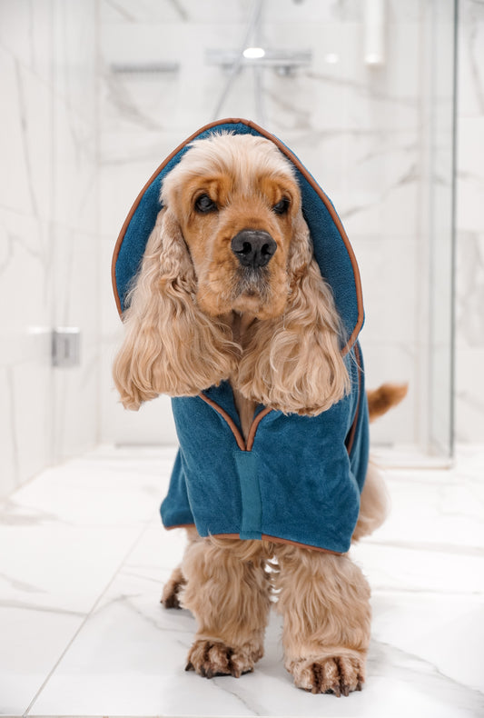 Bathrobe: Blue