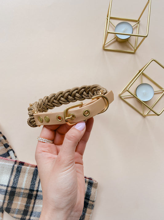 Signature Collar: Pawberry