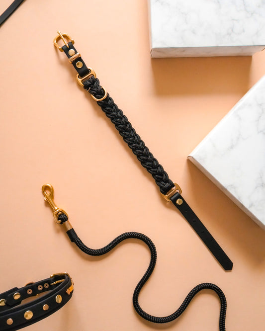 Signature Collar: Puparazzi