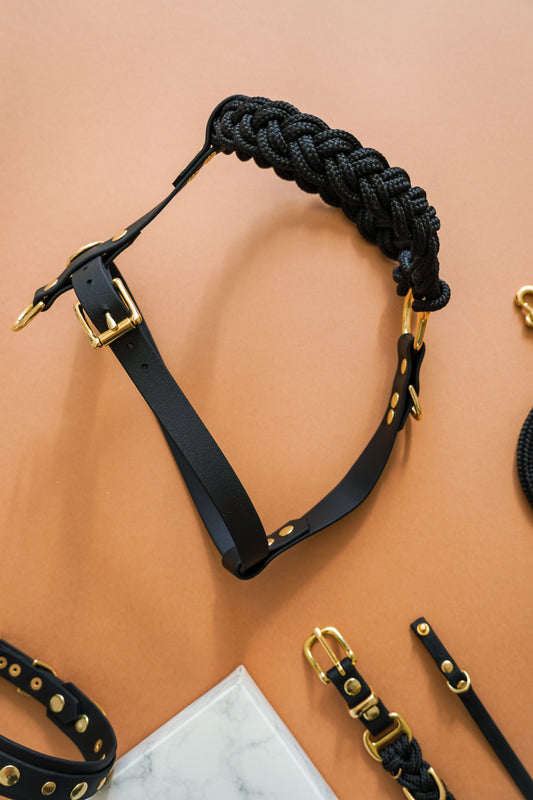 Signature Harness: Puparazzi