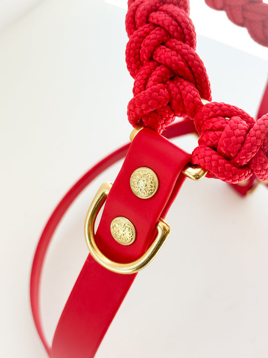 Signature Harness: Touch of Red