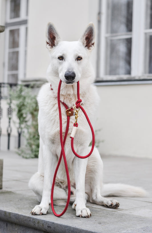 Slip lead: Marianne Red