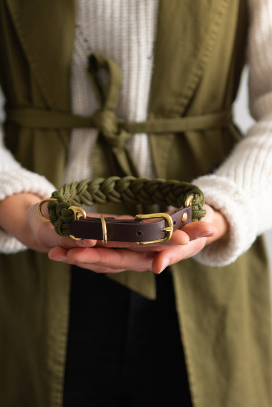 Signature Collar: Oh My Green!