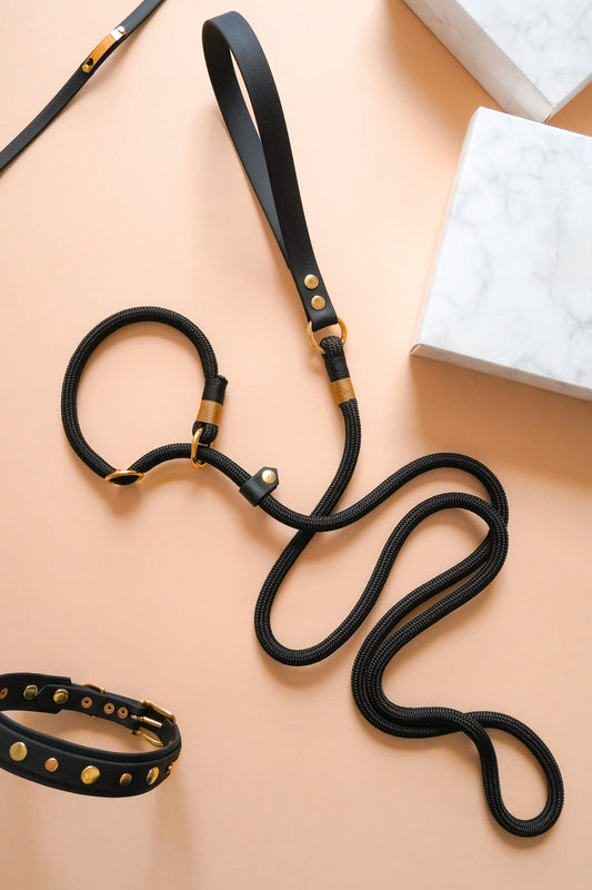 Slip lead: Puparazzi