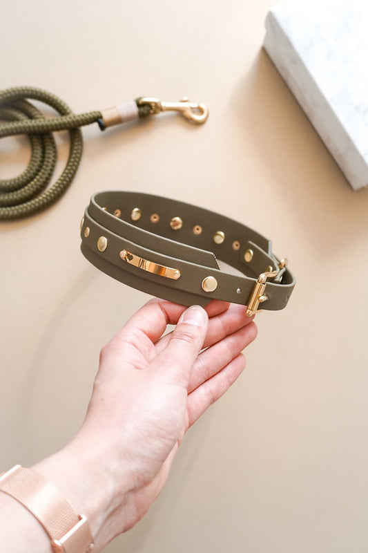 BioThane Collar: Oh My Green!