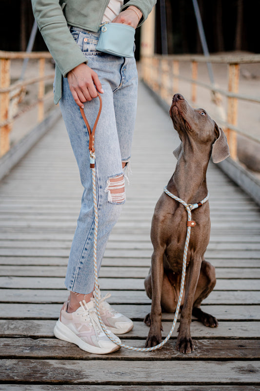 Slip lead: B the Dream