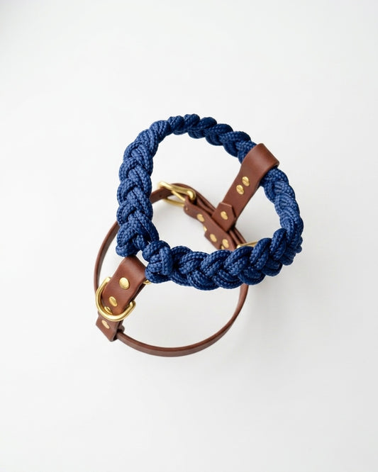 Signature Harness: Mr. Blue