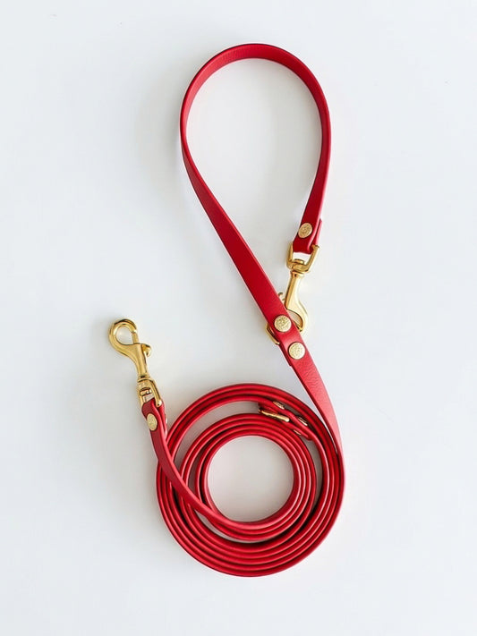 Hands Free Leash Touch of Red