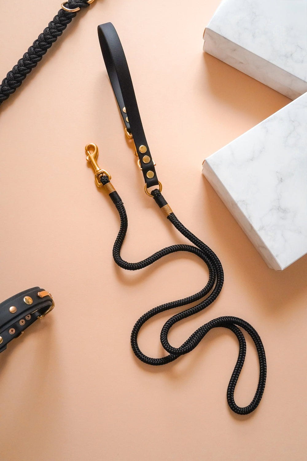 Signature Leash: Puparazzi