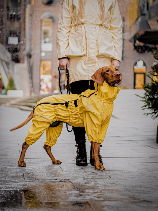 Overall: Yellow