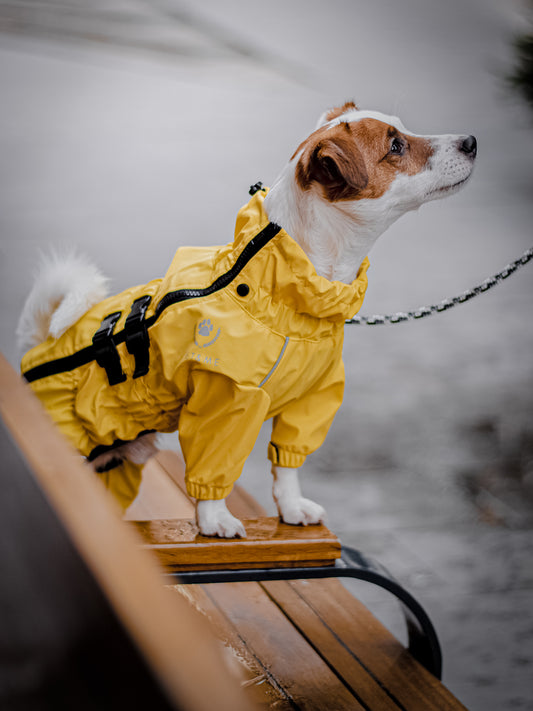 Overall: Yellow