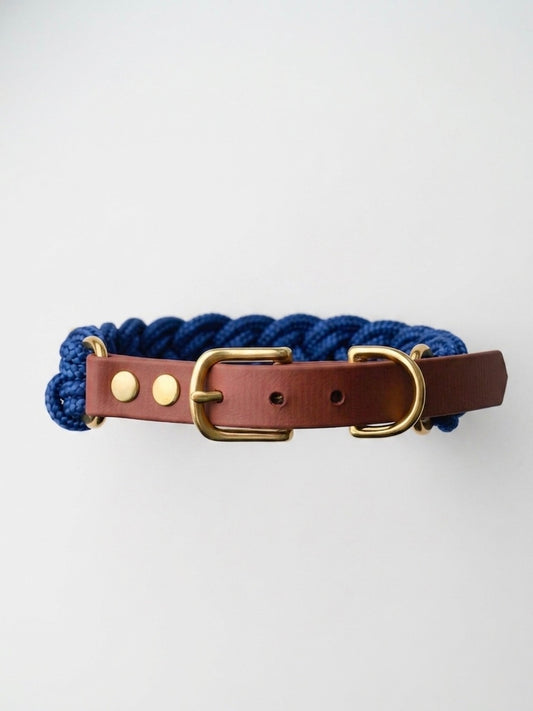 Signature Collar: Mr Blue