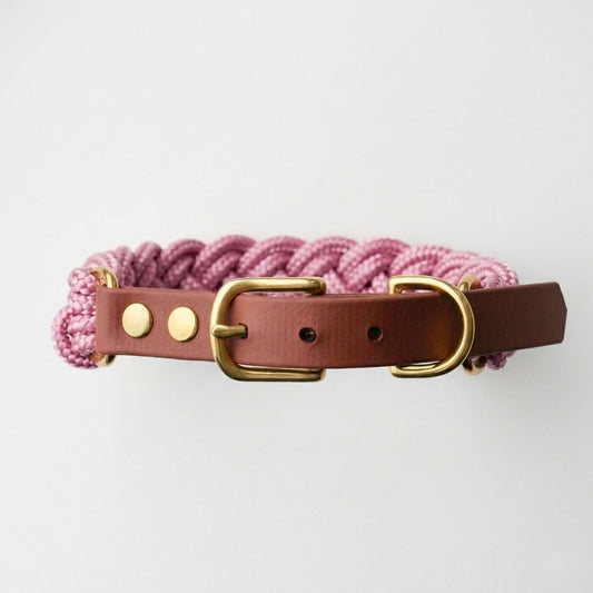 Signature Collar: Pink No. 5