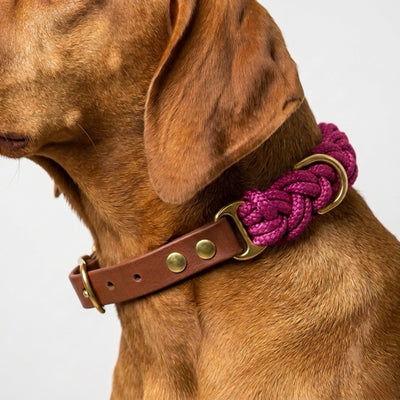 Pink My Dog