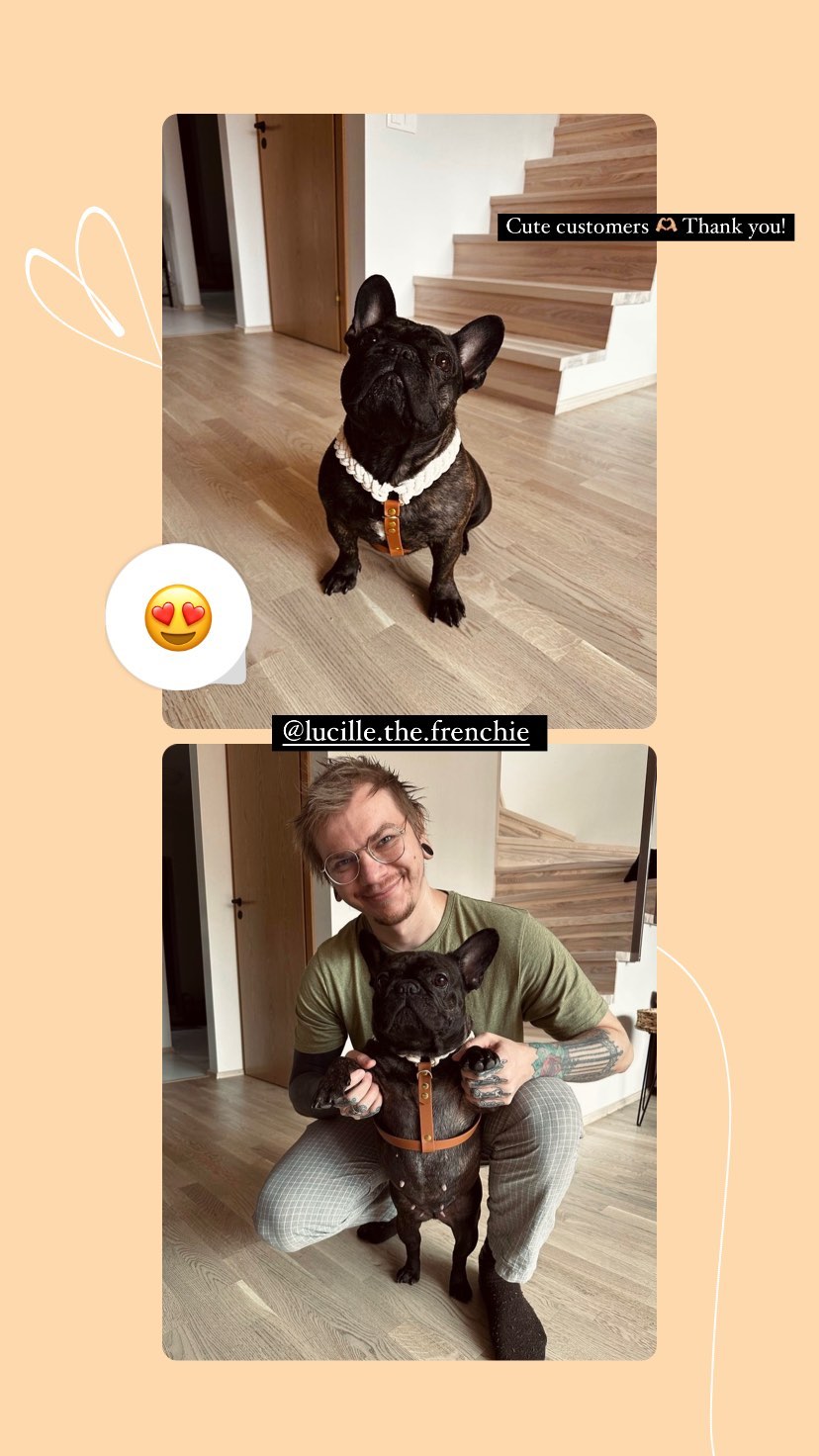 @lucille.the.frenchie