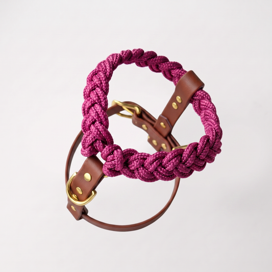 Signature Harness: Pink My Dog