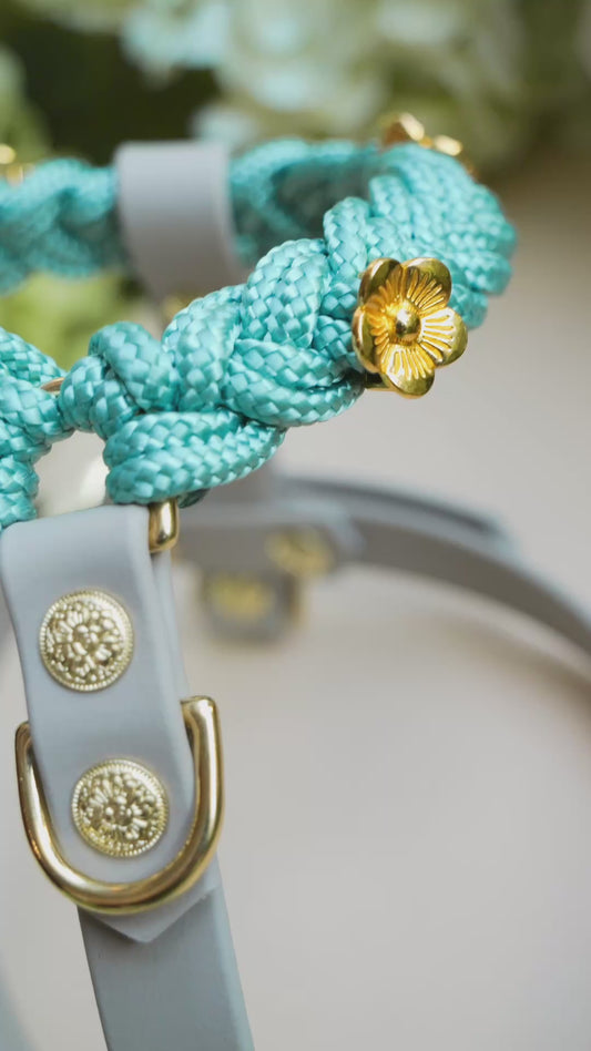 Signature Leash: Mint